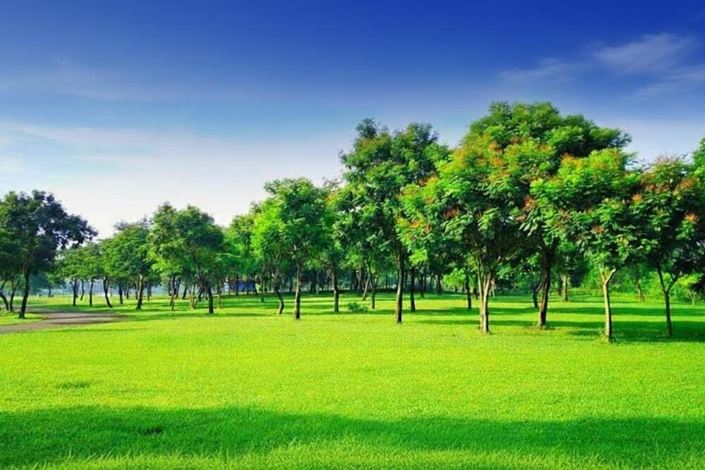 C&ocirc;ng vi&ecirc;n Y&ecirc;n Sở gi&uacute;p bạn được h&ograve;a m&igrave;nh v&agrave;o thi&ecirc;n nhi&ecirc;n bằng hệ thống c&acirc;y xanh rộng lớn.